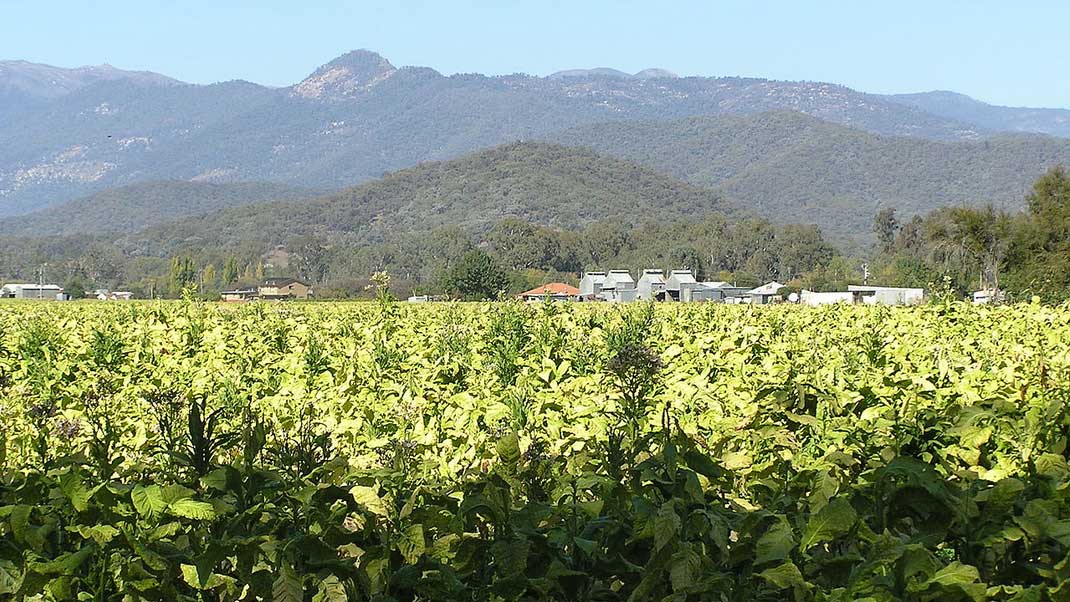 Myrtleford - Australia